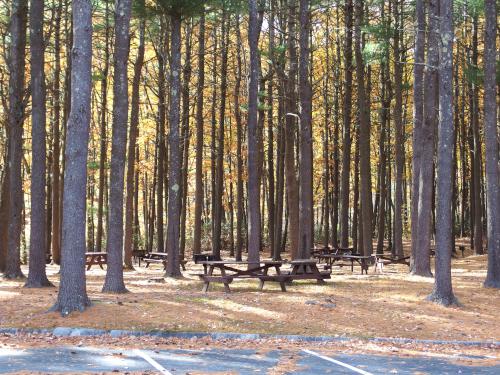 woodsy picnic area in October near Ball Hill near Leominster MA