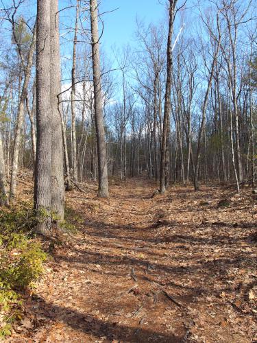 trail in March at Barker Hill in eastern Massachusetts
