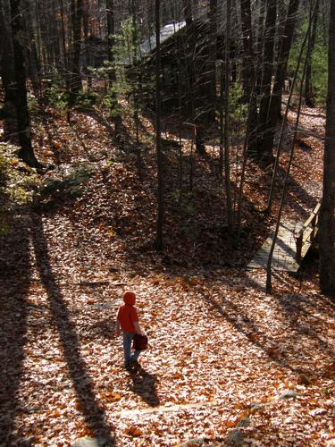 hiker by the 4H Camp at Bear Brook State Park in New Hampshire