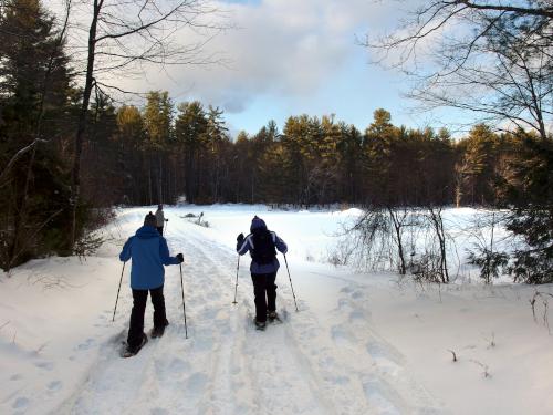 snowshoeing at Beaver Brook in southern New Hampshire