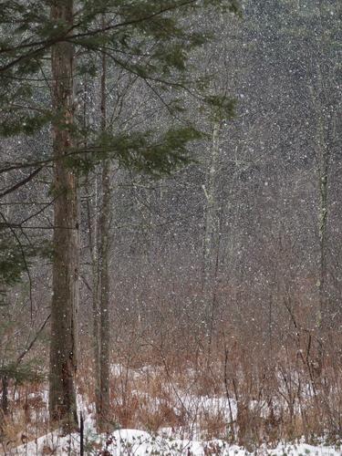 the start of a snowstorm creates an abstract painting beside Elkins Road at Beaver Brook in southern New Hampshire