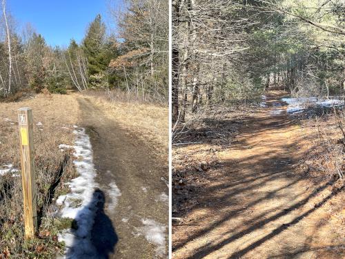 trails in February at Beaver Brook Trails at Westford in northeast MA