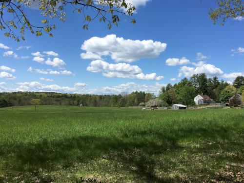 horse farm in May as seen from Bedrock Gardens in southeast New Hampshire