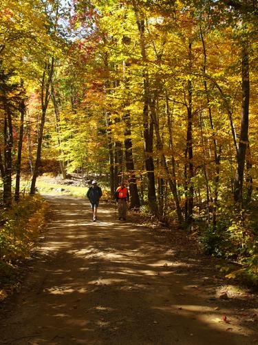 on a colorful October day Lance and Dick hike toward Beech Hill near Dublin, New Hampshire