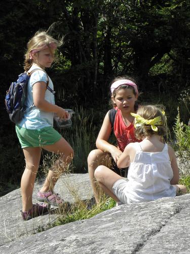 young hikers picking blueberries on Belknap Mountain in New Hampshire