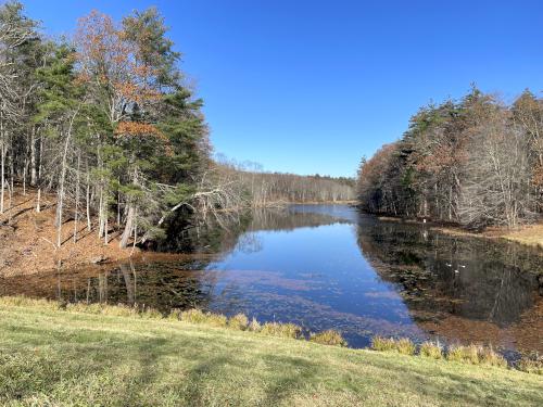 pond view in November at Berlin Meadows in eastern Massachusetts