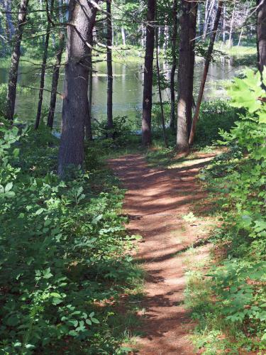 trail at Betsey Dodge Conservation Area in southern New Hampshire