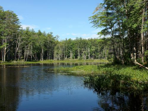 pond at Betsey Dodge Conservation Area in southern New Hampshire