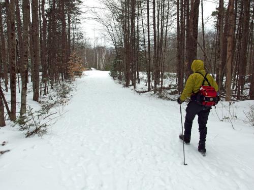 trail in January at Bicknell/Colette Trail in southern New Hampshire
