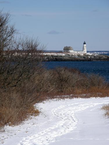 view of Wood Island Light in February from East Point Sanctuary in Maine
