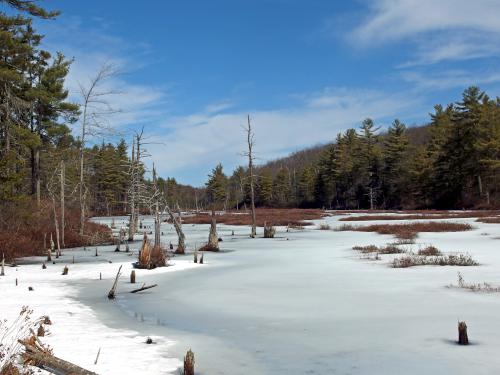 Binney Pond in March at Binney Hill Wilderness Preserve in southern New Hampshire