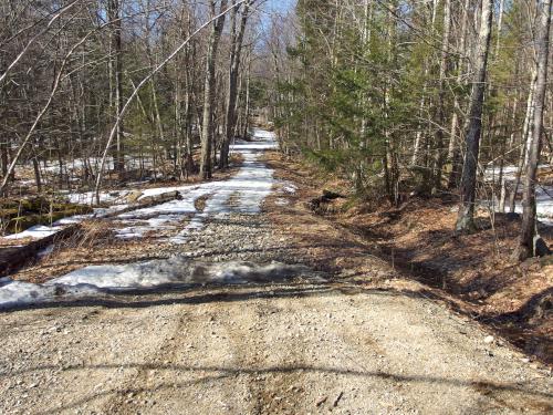 trail in March at Binney Hill in southern New Hampshire