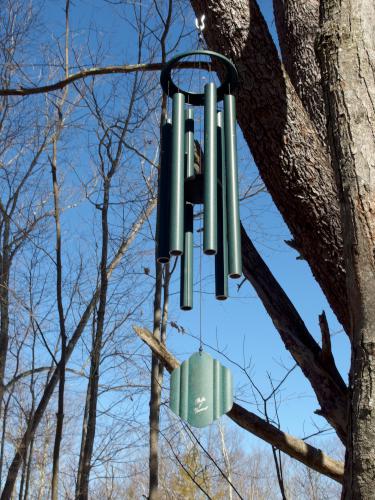 chime in March on Birch Hill in southern New Hampshire