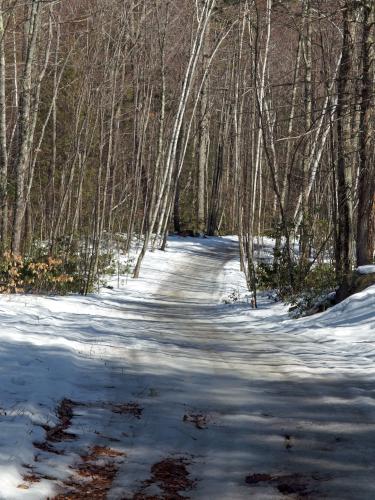 icy trail in March on Birch Hill in southern New Hampshire