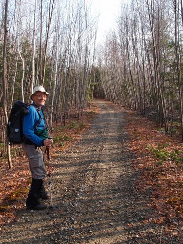 hiker on the trail to Birch Hill in New Hampshire