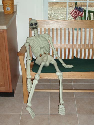 skeleton seated on a wooden bench