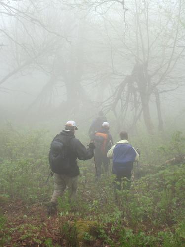 bushwhack hikers in the fog on Black Crescent Mountain in New Hampshire