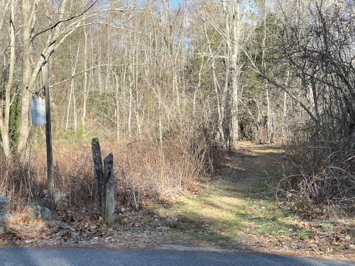 trail in December at Black Pond Nature Preserve in eastern Massachusetts