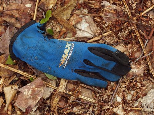 glove lost atop Blood Mountain in southern New Hampshire