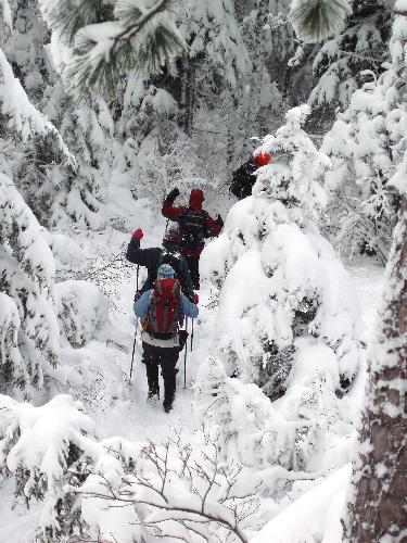 hikers on snowy trail to Blueberry Mountain in New Hampshire