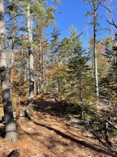 trail in November at Little Blue Job in southern New Hampshire