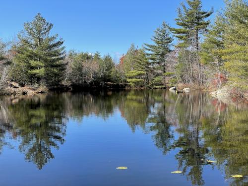 pond in November at Little Blue Job in southern New Hampshire
