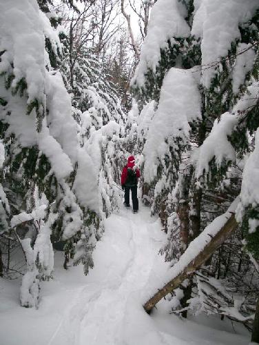 winter trail to Bondcliff Mountain in New Hampshire