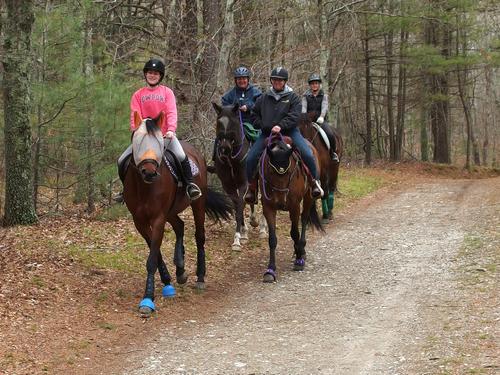 horse riders at Borderland State Park in eastern Massachusetts