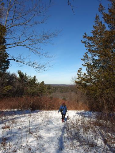 Kate heading down trail at Boston Hill at North Andover in northeastern Massachusetts)