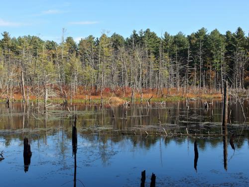 pond in October at Vaughn Hills Conservation Area in northeastern Massachusetts
