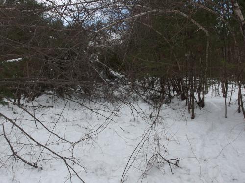 entrance path in winter to Boxford State Forest in northeastern Massachusetts