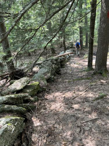trail in July at Bradbury Mountain near Freeport in southwest Maine