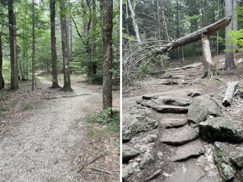 trail in July to Bradbury Mountain near Freeport in southwest Maine