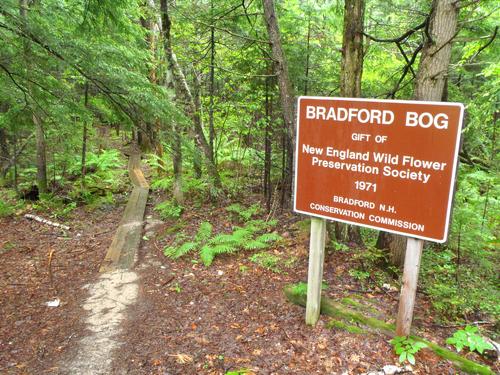 entrance to Bradford Bog in New Hampshire