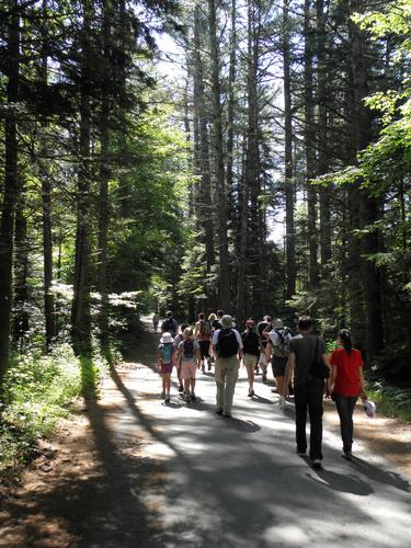 hikers on the way to Bridal Veil Falls in New Hampshire