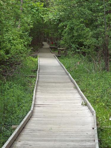 footbridge in May at Broad Meadow Brook Wildlife Sanctuary in eastern Massachusetts