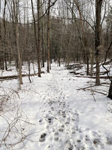 trail in January at Broadview Farm Conservation Area in southern NH