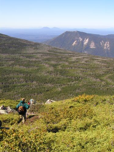 Tom hikes down toward spruce waves in September on North Brother Mountain in Maine