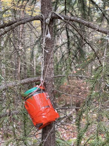 register jar in October on Brown Ash Swamp Mountain in New Hampshire