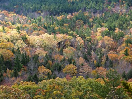 colorful forest view in October from Browns Ledge in western Maine