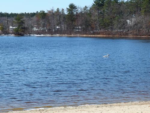 Heart Pond near Bruce Freeman Rail Trail in northeastern Massachusetts