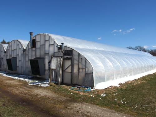 greenhouses at Sunny View Farm near Bruce Freeman Rail Trail in northeastern Massachusetts