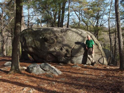 Fred atop Buck Hill on a warm and snowless January day at Blue Hills Reservation in eastern Massachusetts