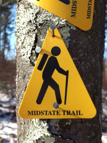 Midstate Trail sign in January at Buck Hill in eastern Massachusetts