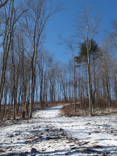trail in January at Buck Hill in eastern Massachusetts