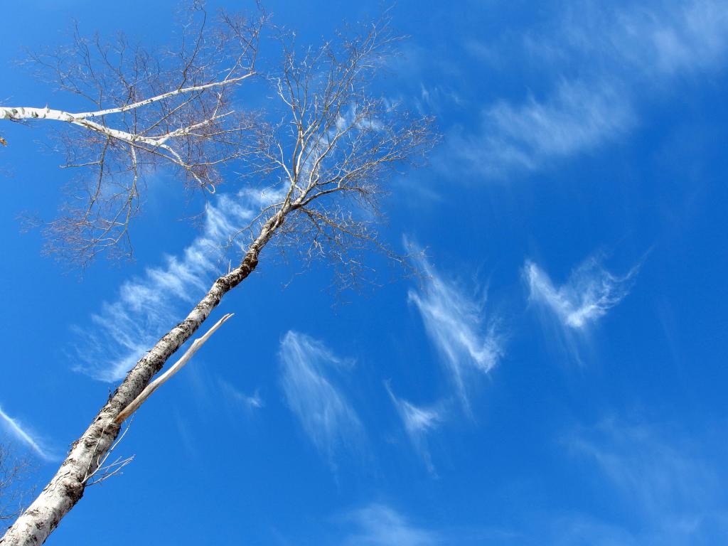 sky view in February at Bugsmouth Hill in southeastern New Hampshire