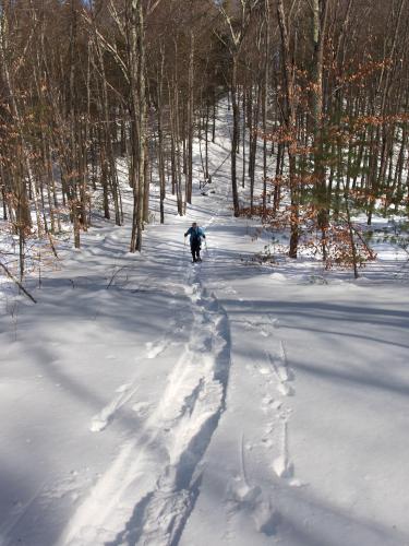 trail in February at Bugsmouth Hill in southeastern New Hampshire