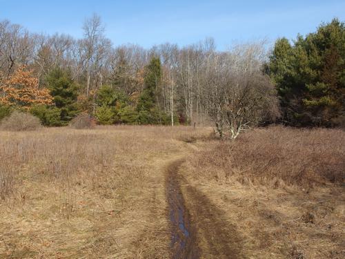 trail at Burlington Landlocked Forest in eastern Massachusetts