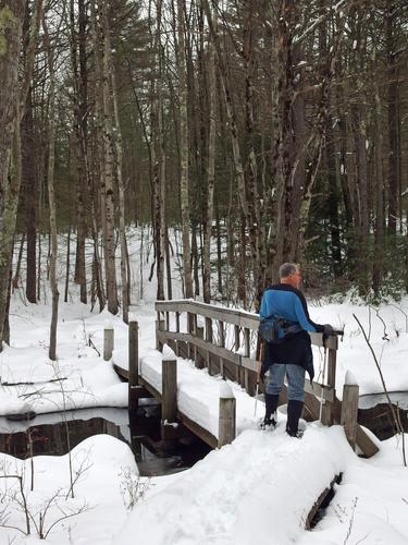 Len crosses Birch Brook on the Eagle Trail at Burns Farm in southern New Hampshire