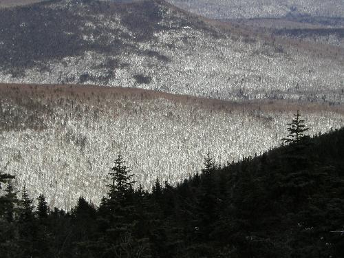 winter silhouette in February as seen from Mount Cabot in New Hampshire
